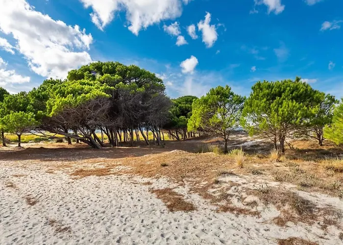 Thoughtfully Designed To Offer Comfort 公寓